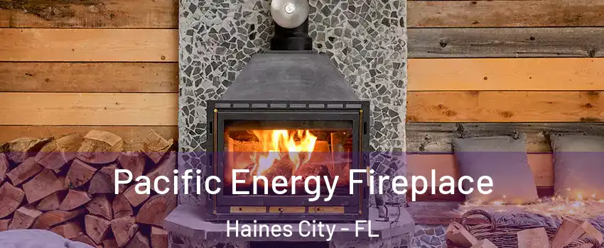  Pacific Energy Fireplace Haines City - FL