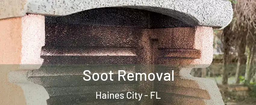  Soot Removal Haines City - FL