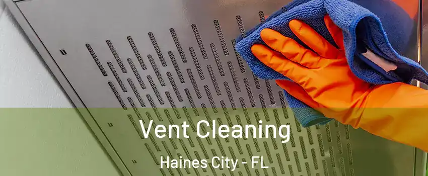  Vent Cleaning Haines City - FL