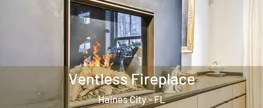  Ventless Fireplace Haines City - FL