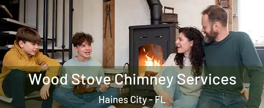  Wood Stove Chimney Services Haines City - FL